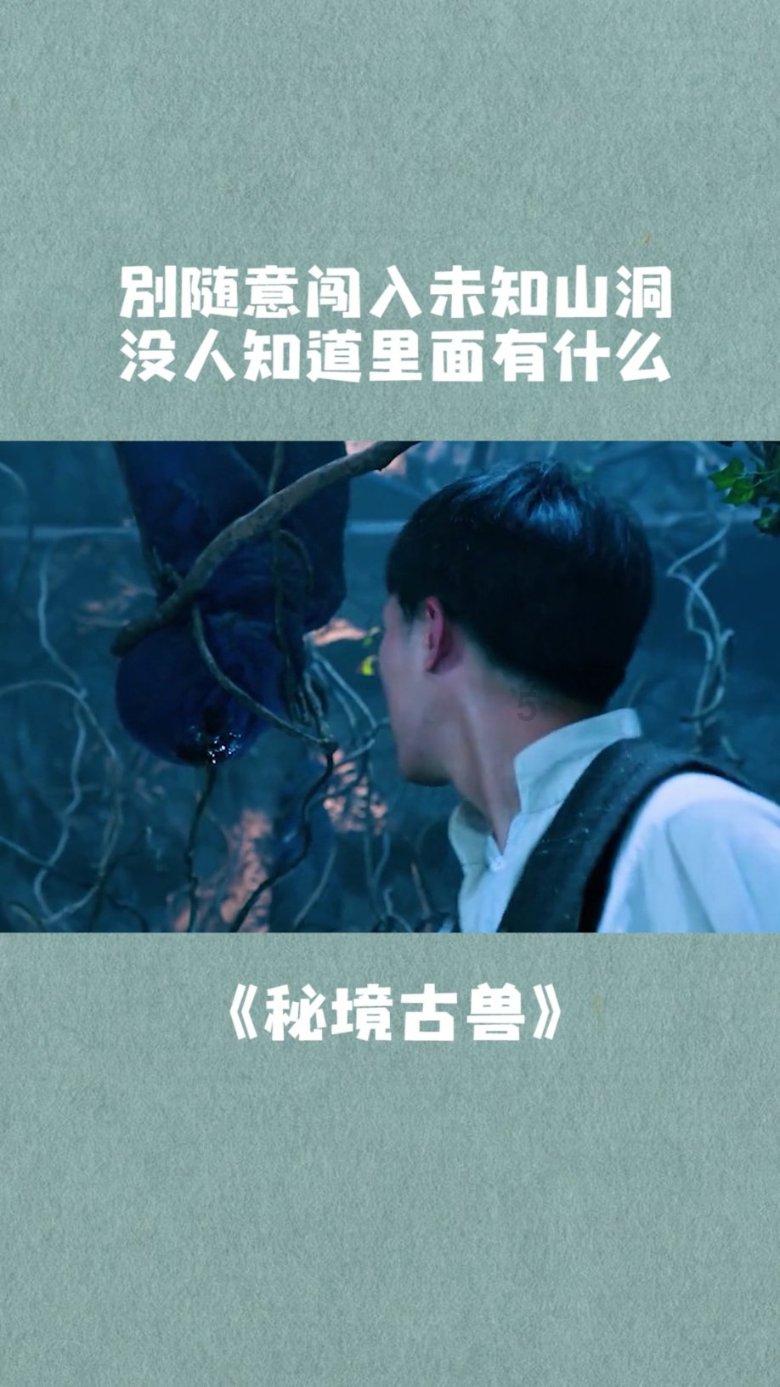 杰茜的欢乐时光