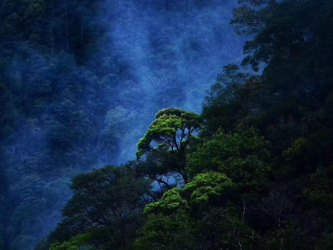 西瓜地逃生