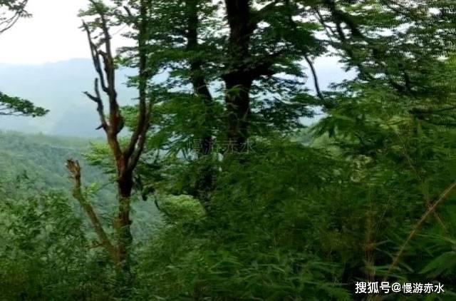 清华北大打开校门，只是第一步！高校开放，不能搞“一刀切”！
